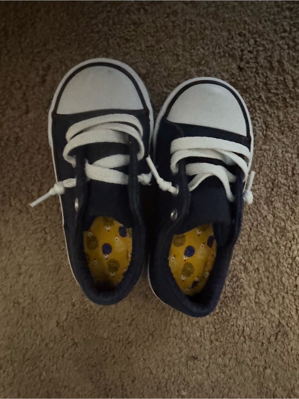 Kids Navy Canvas Lace-Up Sneakers with White Trim